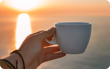 Hi Tea Evening Cruise(With Food Box and Live Music)
